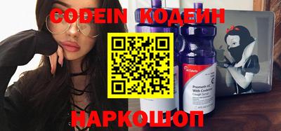 индика Можайск
