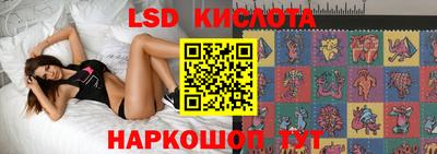 индика Можайск