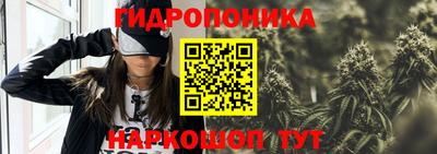 индика Можайск
