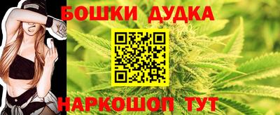индика Можайск