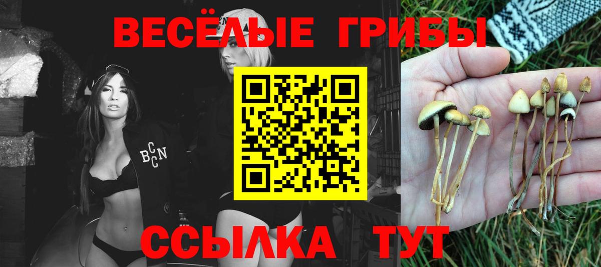 Псилоцибиновые грибы мухоморы  Вход с VPN  Улан-Удэ 